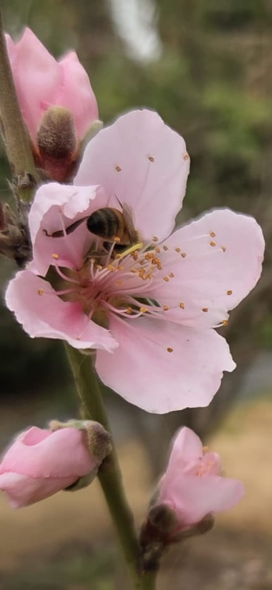 WhatsApp Image 2026 02 21 at 15.08.38